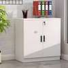 Double-Door Steel Filing Cabinet – Adjustable Shelves thumb 3