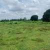50by100ft plot in Dongo kundu bypass thumb 1