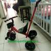 2 in 1 tricycles 4.5 tc thumb 1