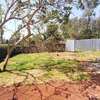 4 Bed Townhouse with Garden in Ngong thumb 13