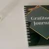 GRATITUDE JOURNAL FOR ADULTS thumb 0