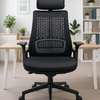 Office Chair: Orthopedic High Back Chair thumb 0