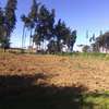 ¼ acre plot Kinungi, Naivasha thumb 0