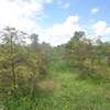 Blocks of Land For Sale in Murang'a - Thika-Gatanga Rd thumb 3