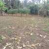40*80ft plots for sale at Makuyu near Makuyu Teachers c thumb 2