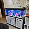 Aquarium Cabinet on sale thumb 1