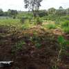 1 ac Land in Karen thumb 9