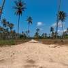 Prime Tropical Land Plot Cleared for Building thumb 6