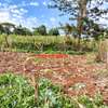 0.05 ha Residential Land at Muthiga thumb 14