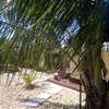 Moringa Furnished Cottage with AC 5 min to the Beach thumb 12