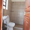 Offer on Executive 1 bedrooms in Ruiru Kamiti Rd. thumb 8