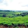 20 ac Land at Riara Ridge thumb 8
