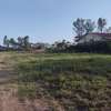 Ruiru Matangi plots for sale thumb 0