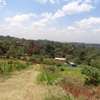 12.5 ac Residential Land in Ngong thumb 1