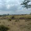 0.05 ha Commercial Land at Juja Kware Plots thumb 3