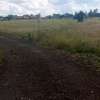 Land for sale in Lenchani thumb 4