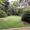 3 Bed Villa with En Suite in Muthaiga thumb 10