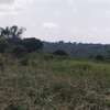 Land at Maparasha Road thumb 33