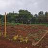 0.0500 ha Residential Land in Tatu City thumb 12