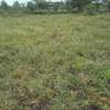 6 ac Land in Ongata Rongai thumb 7