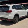 Subaru Forester X-brake 2018 white thumb 13