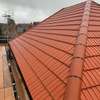 Roof Repair & Maintenance - Roofing Contractors in Nakuru thumb 11
