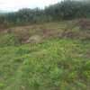 0.113 ac Land in Ngong thumb 12