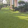 Landscaping Services in Nairobi.Low Cost Garden Maintenance thumb 1