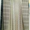 Elegant Curtains and Sheers thumb 6