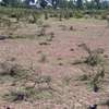 Land for sale 1050 acres thumb 1