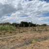 KomaHill -Along Kangundo Road 50*100 plots. thumb 4
