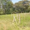 Prime Land in Kahara/Matasia thumb 5
