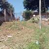 0.8 ac Land at Kitisuru thumb 16