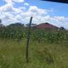 Prime affordable plots for sale in  makutano mwea thumb 3
