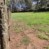 0.38 ac Commercial Land at Acre Ithano thumb 4