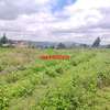0.125 ac Residential Land at Migumoini thumb 10