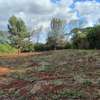 Residential Land at Kiukenda thumb 11