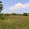 Plots for sale in Thika thumb 0