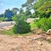 Land-KILIFI BOFA ROAD thumb 2