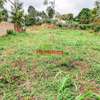 0.05 ha Residential Land at Ondiri thumb 3