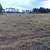Prime land for sale-Fly  Over -Nyandarwa County. thumb 3