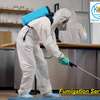 Fumigation and Pest Control Services Nakuru thumb 3