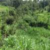 0.54 ac Land in Kiambu Road thumb 3
