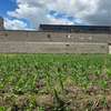 PRIME HALF ACRE LAND FOR SALE IN RUIRU KAMAKIS thumb 2
