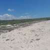 20 Acres Of Beach Land In Kikambala Kilifi Is For Sale thumb 2