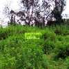 0.64 ac Residential Land in Thindigua thumb 1