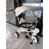 Generic Push Tricycle With Canopy Protective Bar thumb 1