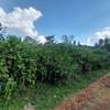 Residential Land at Thigiri Ridge thumb 5