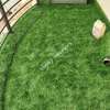 Grass carpets-_-_- thumb 1