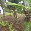 6 Bed House at Gataka thumb 4